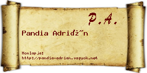 Pandia Adrián névjegykártya